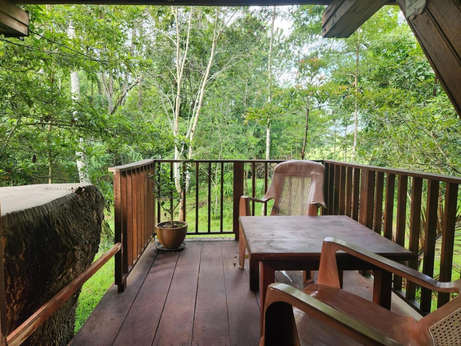 Wilpattu Tree House Bed and Breakfast Nochchiyagama Εξωτερικό φωτογραφία